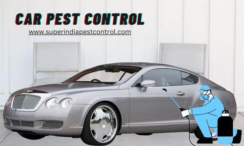 Car Pest Control