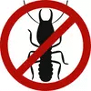 Termite control in Mumbai